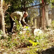 10 октября в донской столице состоялся общегородской субботник. 